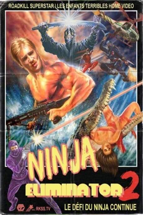 Ninja Eliminator 2: Quest of the Magic Ninja Crystal